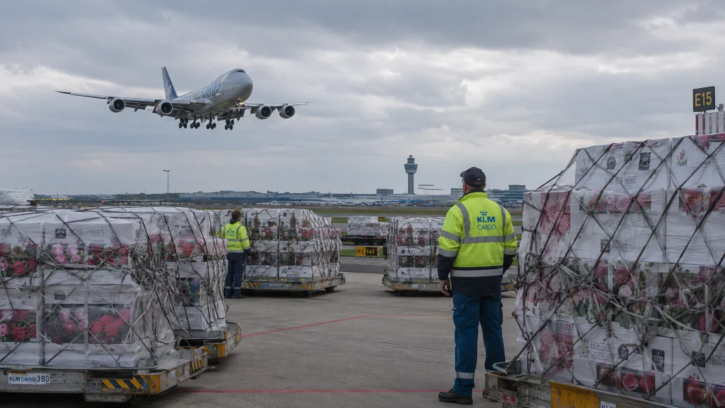 Bloemenzendingen op het cargoplatform terwijl een vrachtvliegtuig landt op Schiphol